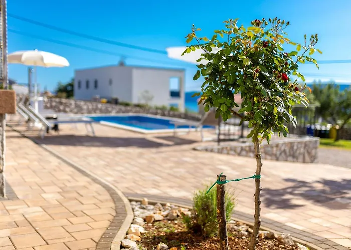 Krk David & Matej * Linardići