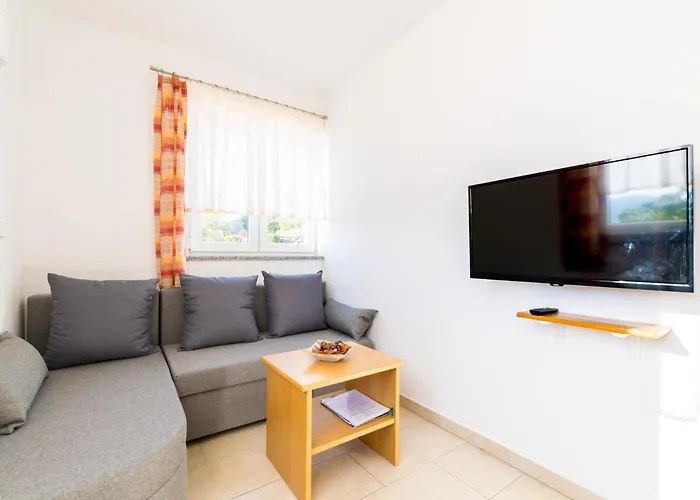 Krk David & Matej * Linardići